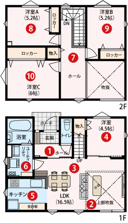 平面図